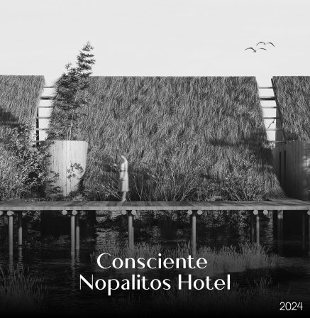 nopalitos_hotel